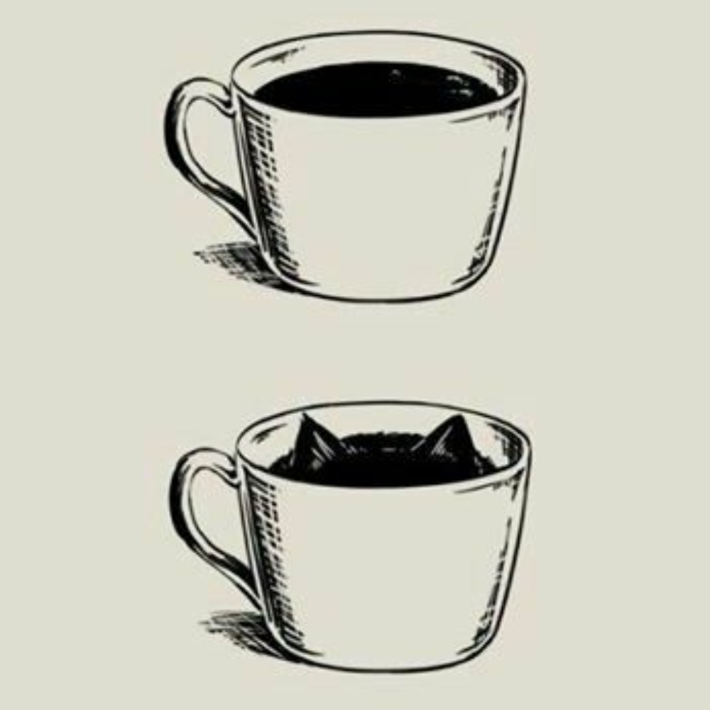 Meet your Posher, Ariel